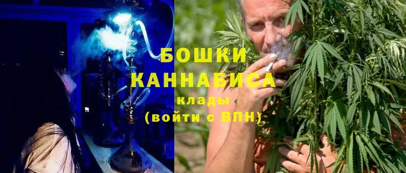 продажа наркотиков  Дегтярск  Бошки марихуана SATIVA & INDICA 